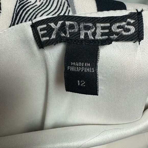 Express Dress - Picture 6 of 6